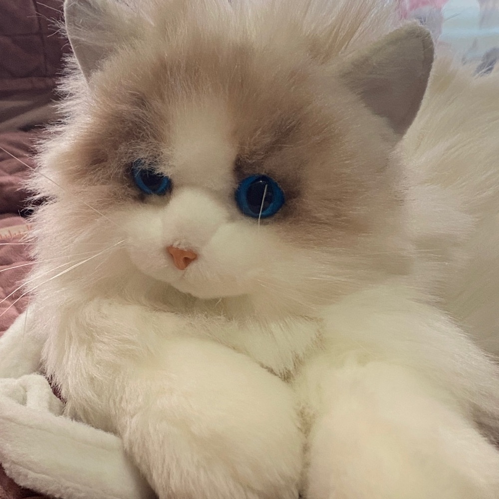 Chonger white cat emotional stuffed animal
